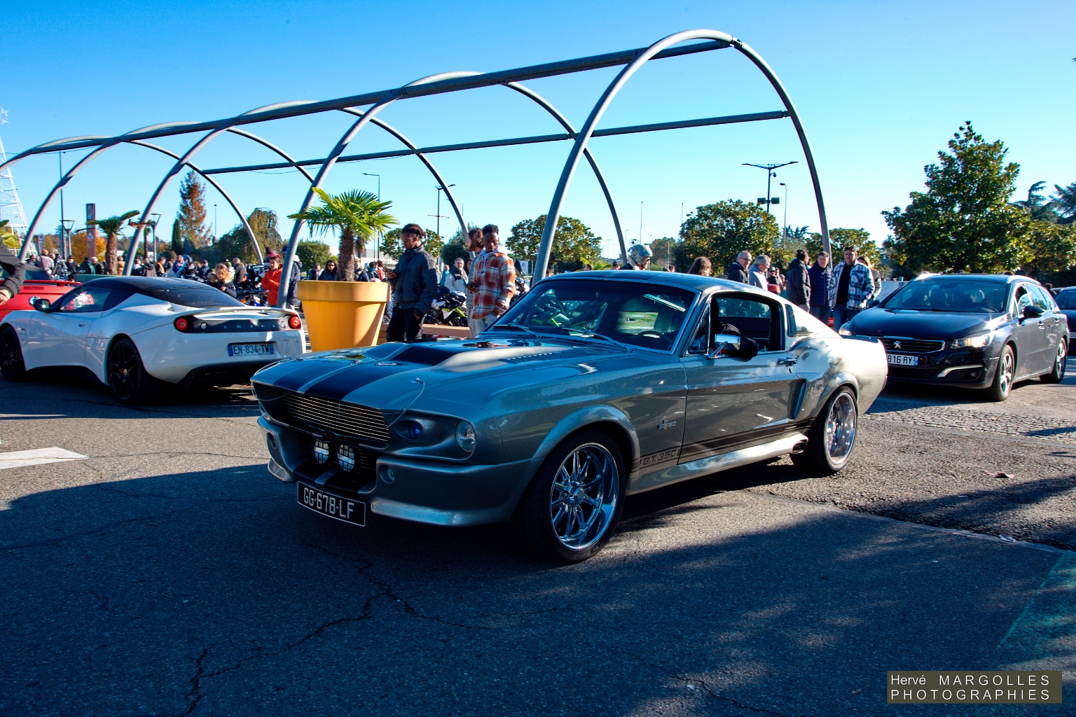 Ford Mustang GT 350.jpg